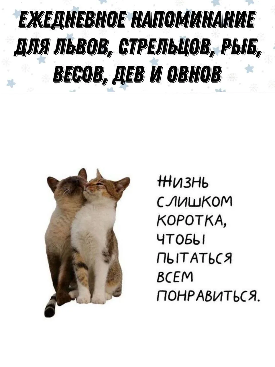 Ежедневное напоминание:
