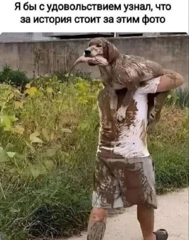 Пишите ваши версии в комментариях 😅