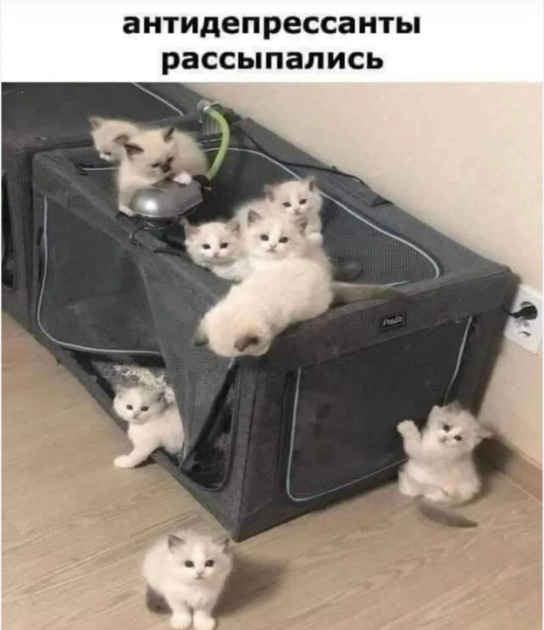 АНТИДЕПРЕССАНТЫ: КОГДА НЕЙРОНЫ РАБОТАЮТ В НУЖНОМ РИТМЕ 🧠✨💊