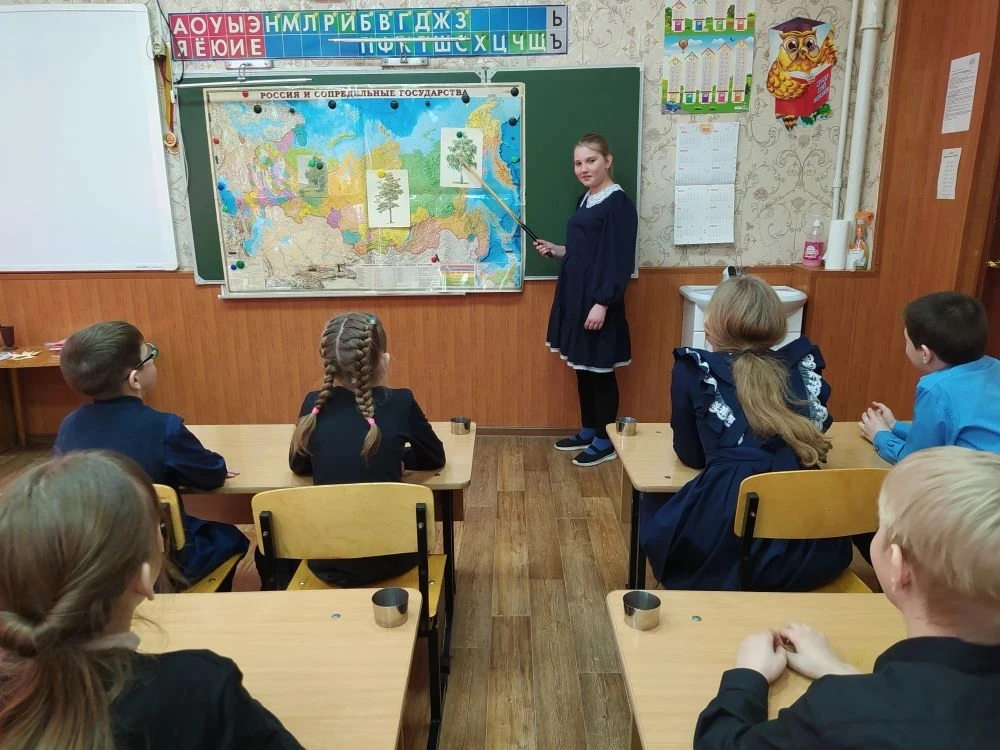 Лес – наше богатство!