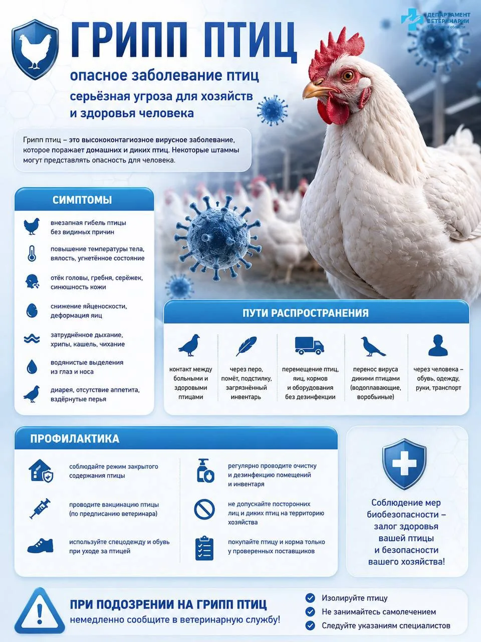 ❗Напоминаем о таком опасном заболевании, как высокопатогенный грипп птиц (ВГП), к котор...