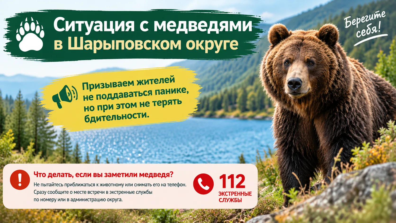 🐻 Ситуация с медведями в Шарыповском округе: сохраняем спокойствие и бдительность