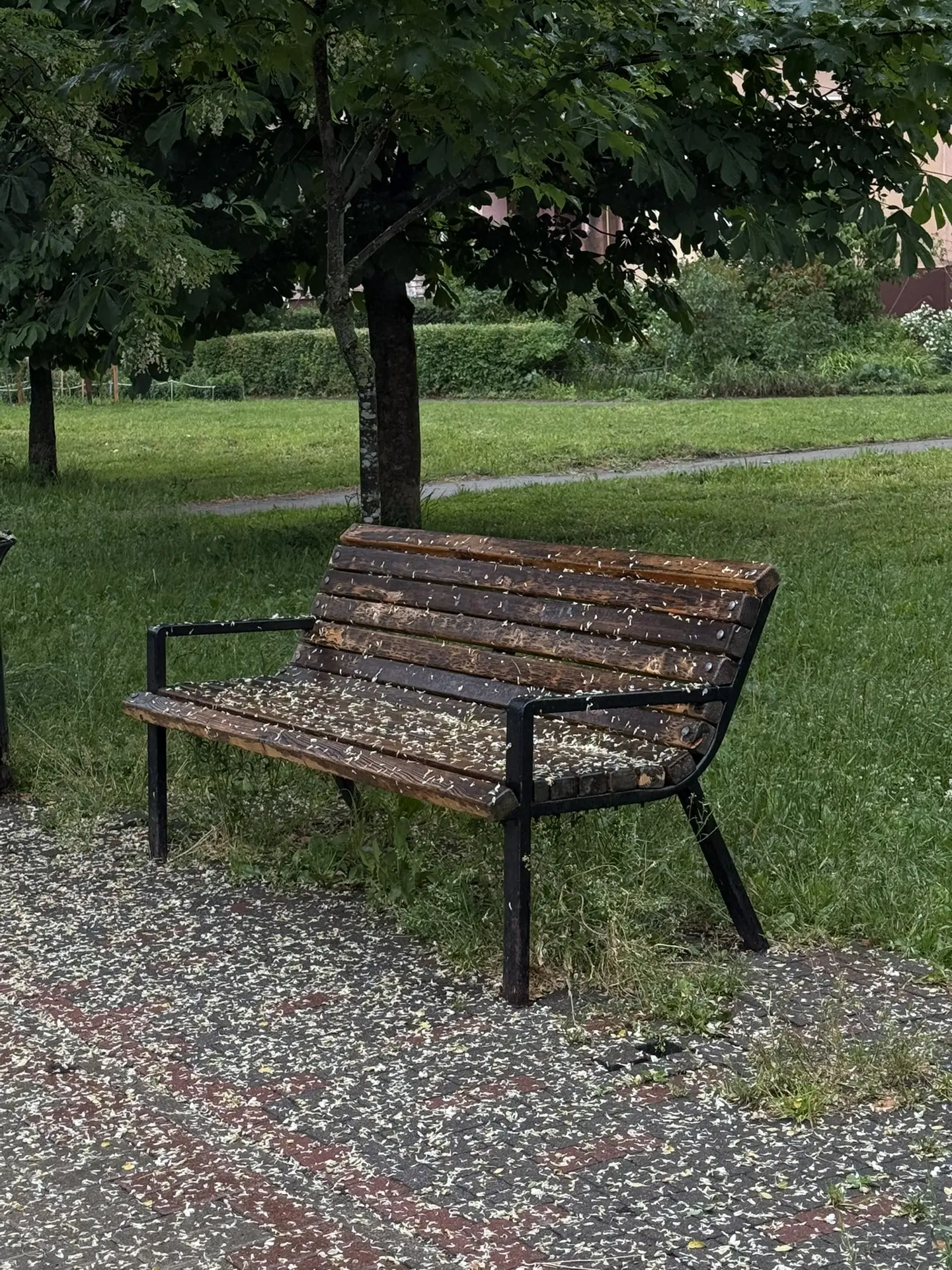 Уютный дождливый летний день🌿☔️
Обычное лето в Калининграде, дождь и прохлада, местами теплые деньк