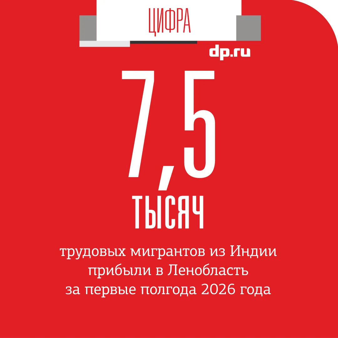 Ленобласть готова принять около 13 тыс. трудовых мигрантов из Индии за год. Об этом "ДП" сообщили в 