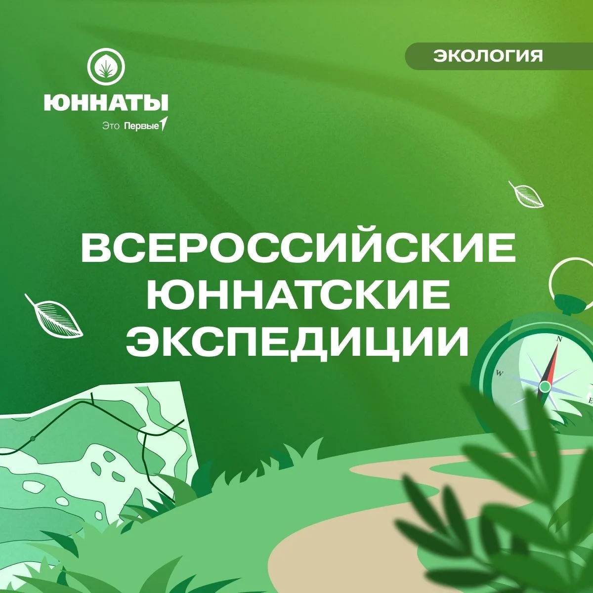 Где рождаются открытия? Во Всероссийских юннатских экспедициях Движения Первых 🔍

Узнавай природу и