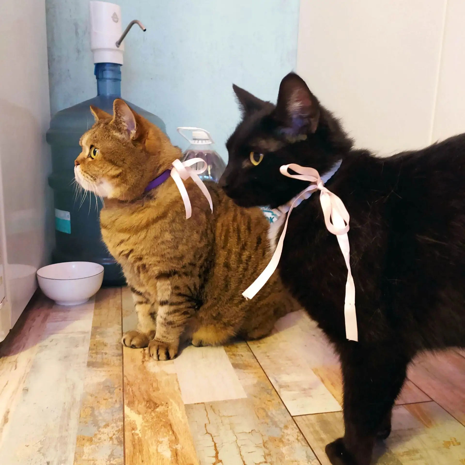 Рубрика #какнаглелаОПГ подкинула архив высокой моды! 🎀🐈‍⬛🐾Эххх, было время, когда Пу...