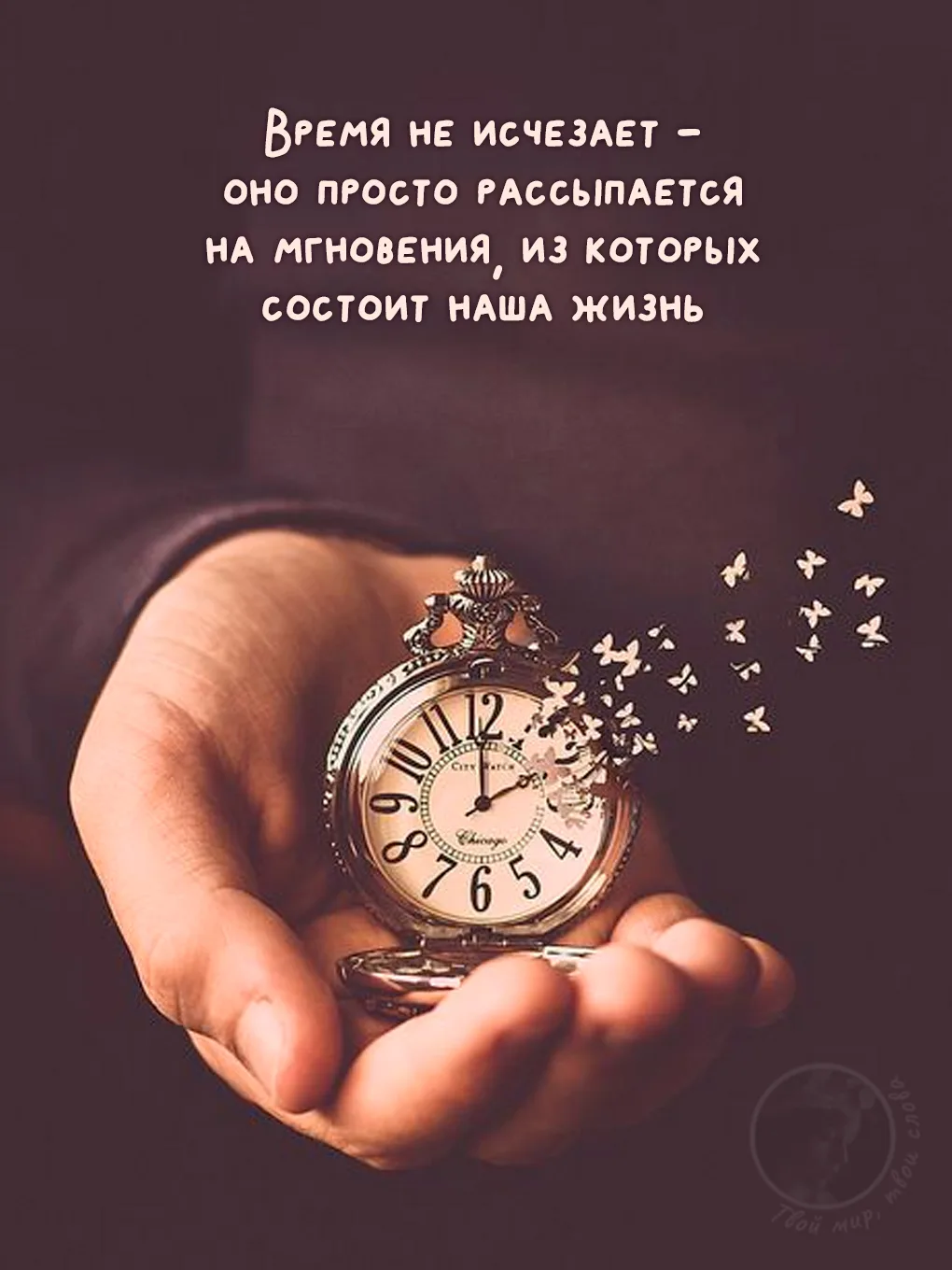 Твой мир, твои слова