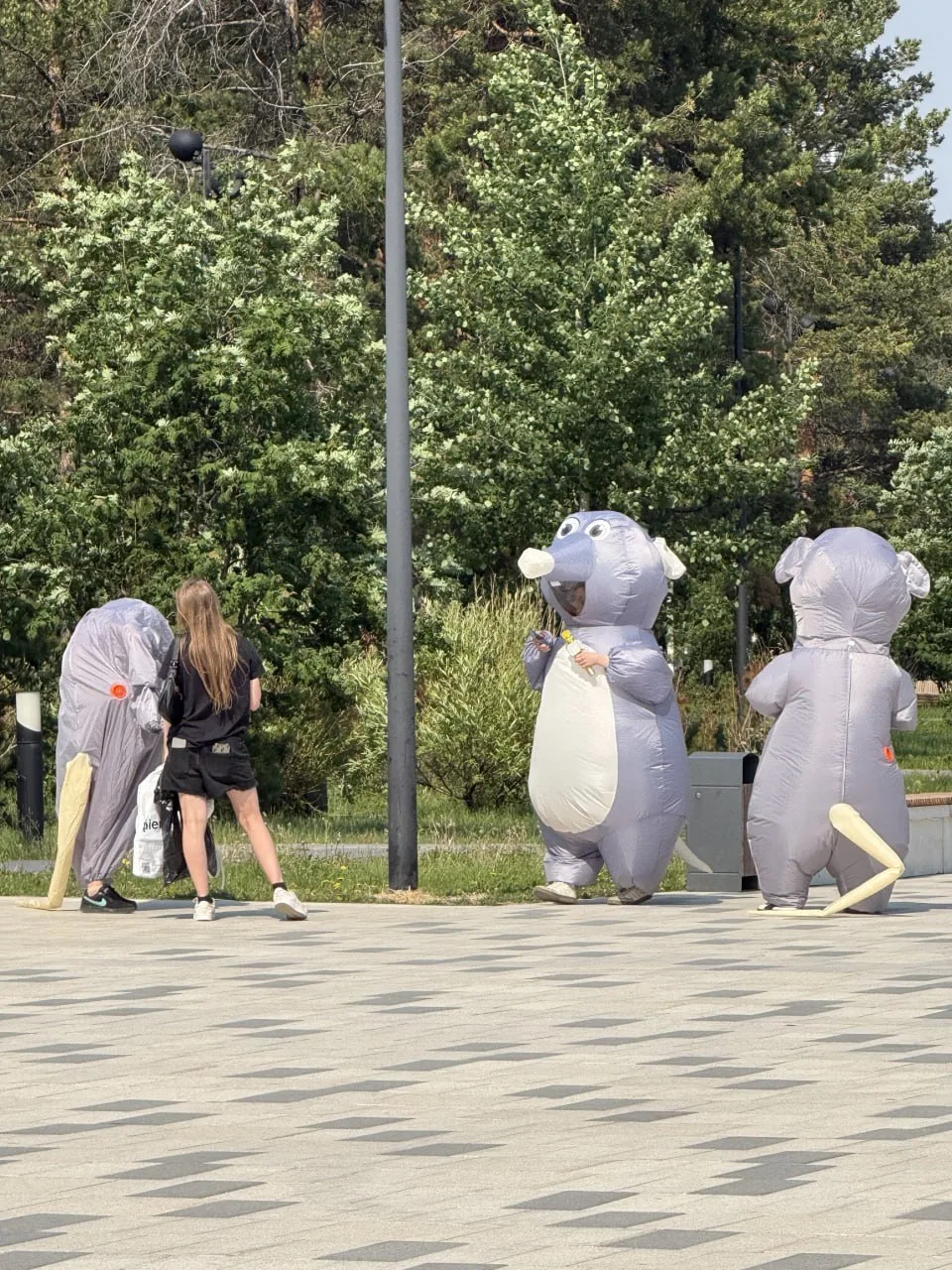 В сеть утекли кадры с корпоратива админской в Ноябрьске 👑