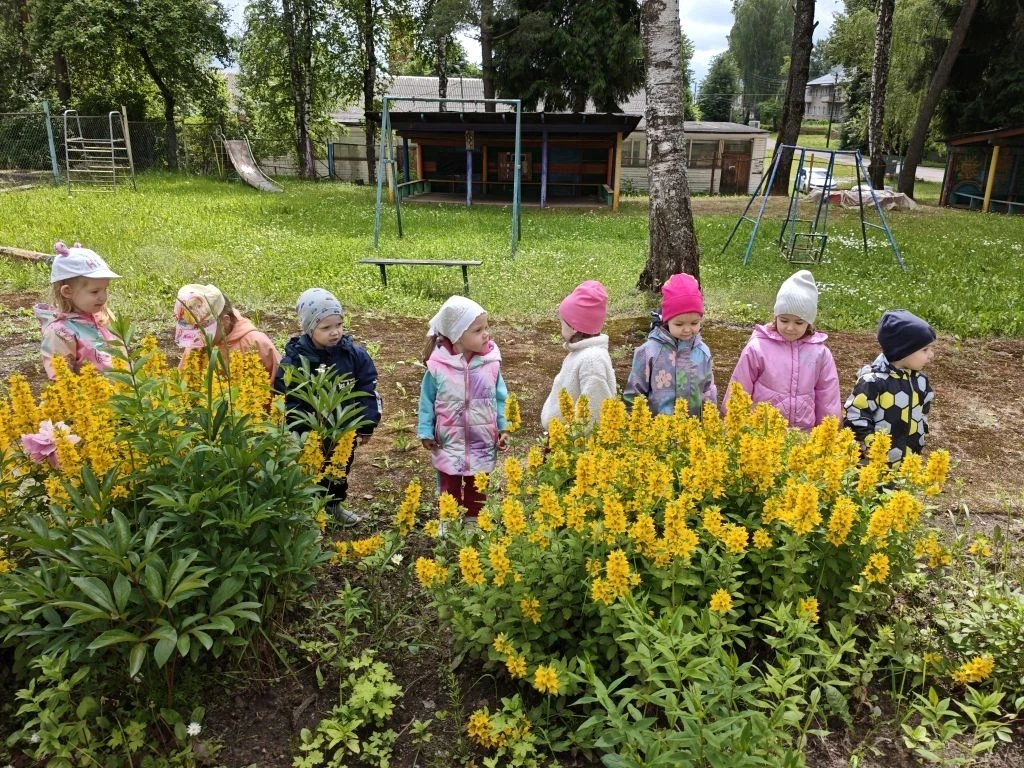 ☀️ Весело и насыщенно проходит у воспитанников нашего детского сада каждый летний день. ☀️
⚘️🌸 ⚘️ С