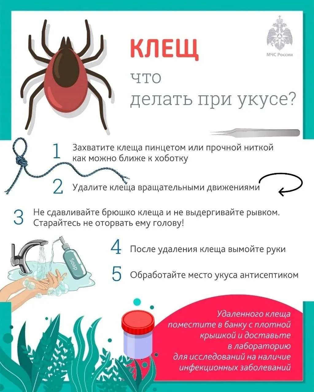 МЧС Новгородской области рассказывает, как предотвратить укус клеща

Чтобы отдых на природе оставил 