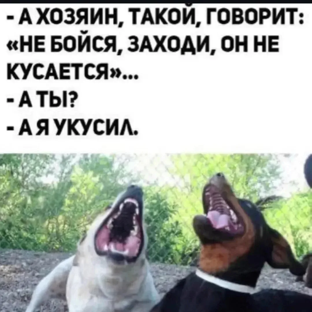 Улётные приколы - Подписаться