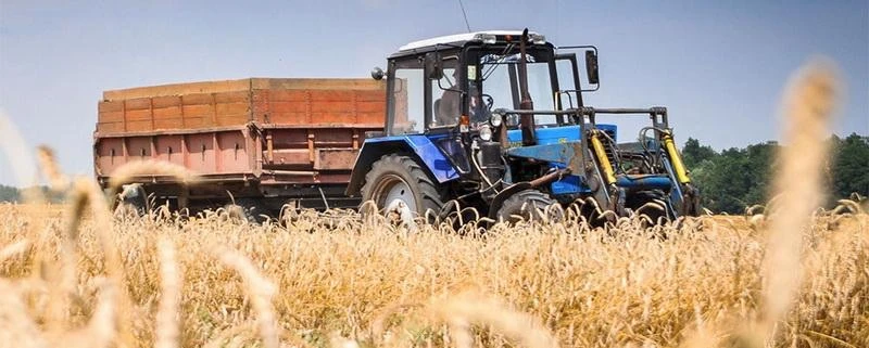 Фермеры озолотятся в Забайкалье