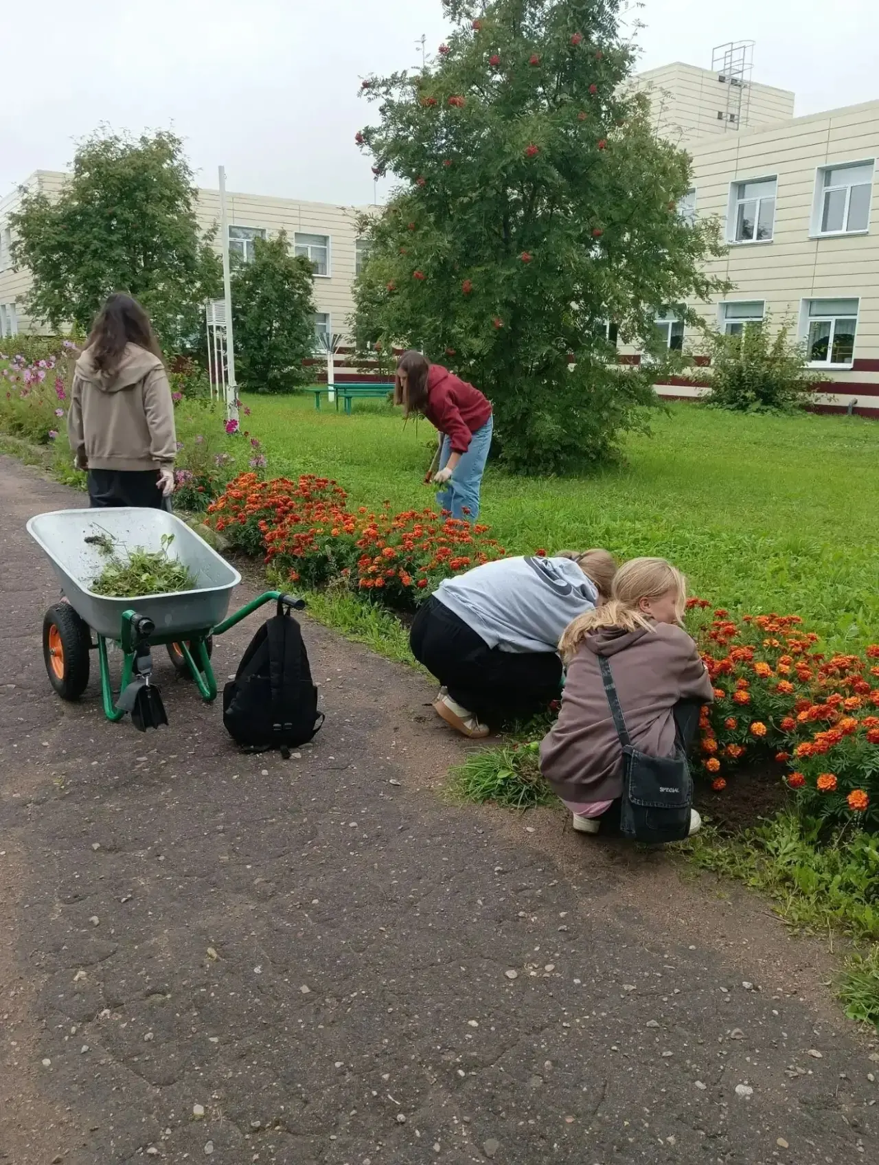 ☀️ Лето, которое запомнится! В Волосовском районе успешно завершилась летняя оздоровите...