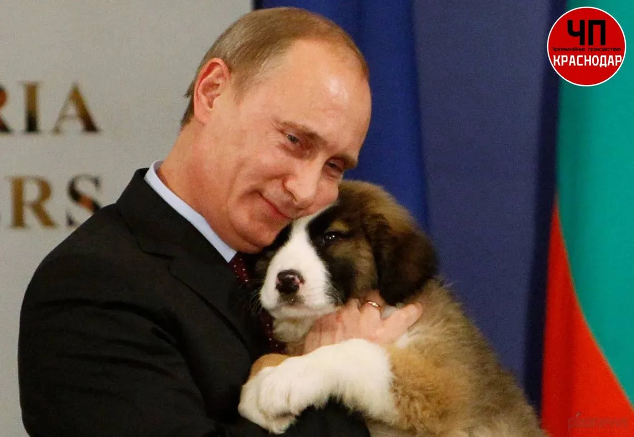 🇷🇺 Президент России Владимир Путин сегодня празднует день рождения.