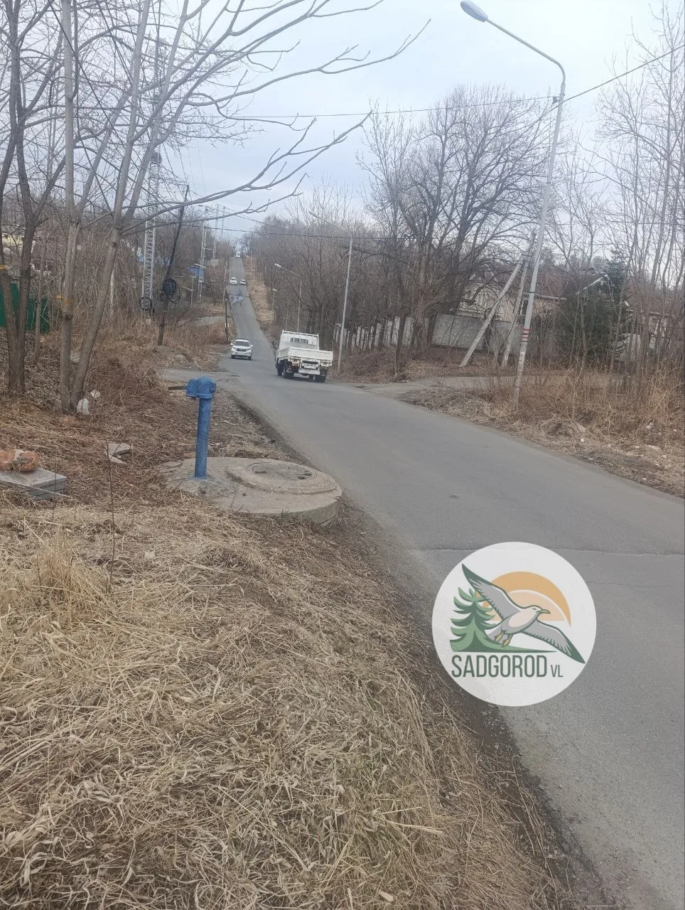 От подписчиков