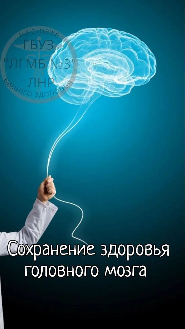 📌Стресс и здоровье головного мозга: как сохранить ясность ума в бурное время 

📎Современная жизнь 