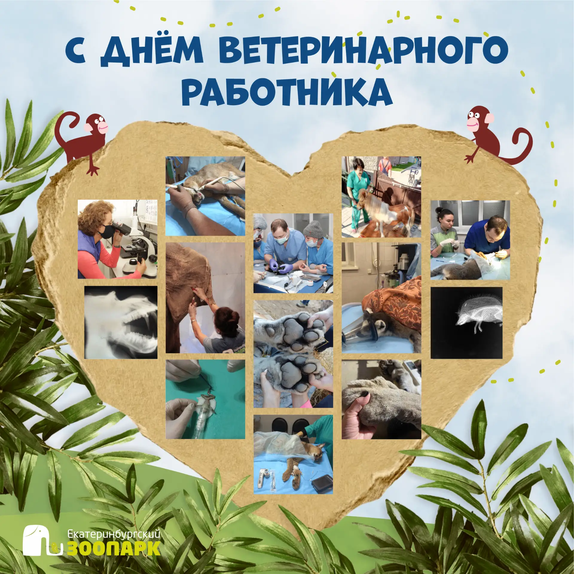 🩺 31 августа — День ветеринарного работника в России. Этот праздник впервые отметили в...