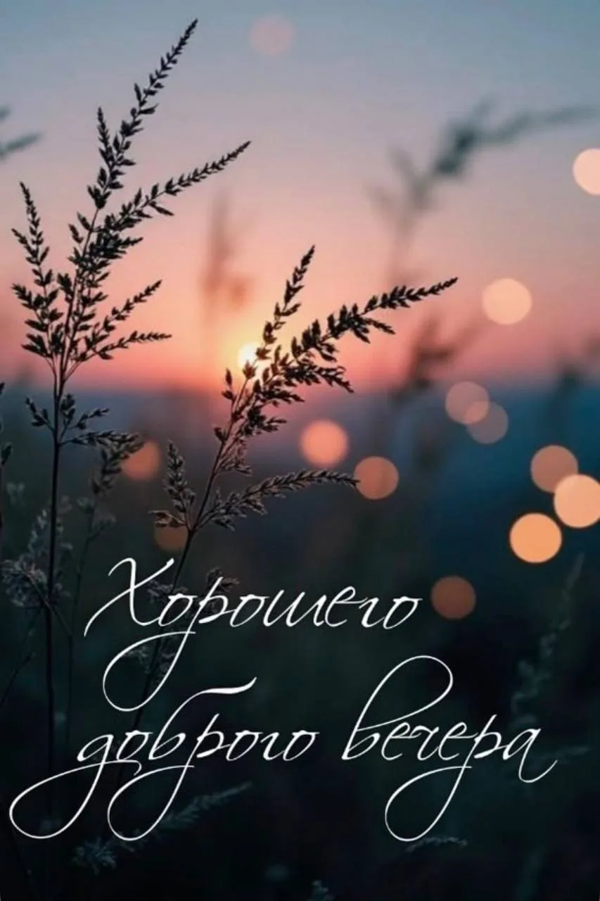 🌙 Добрый вечер!
