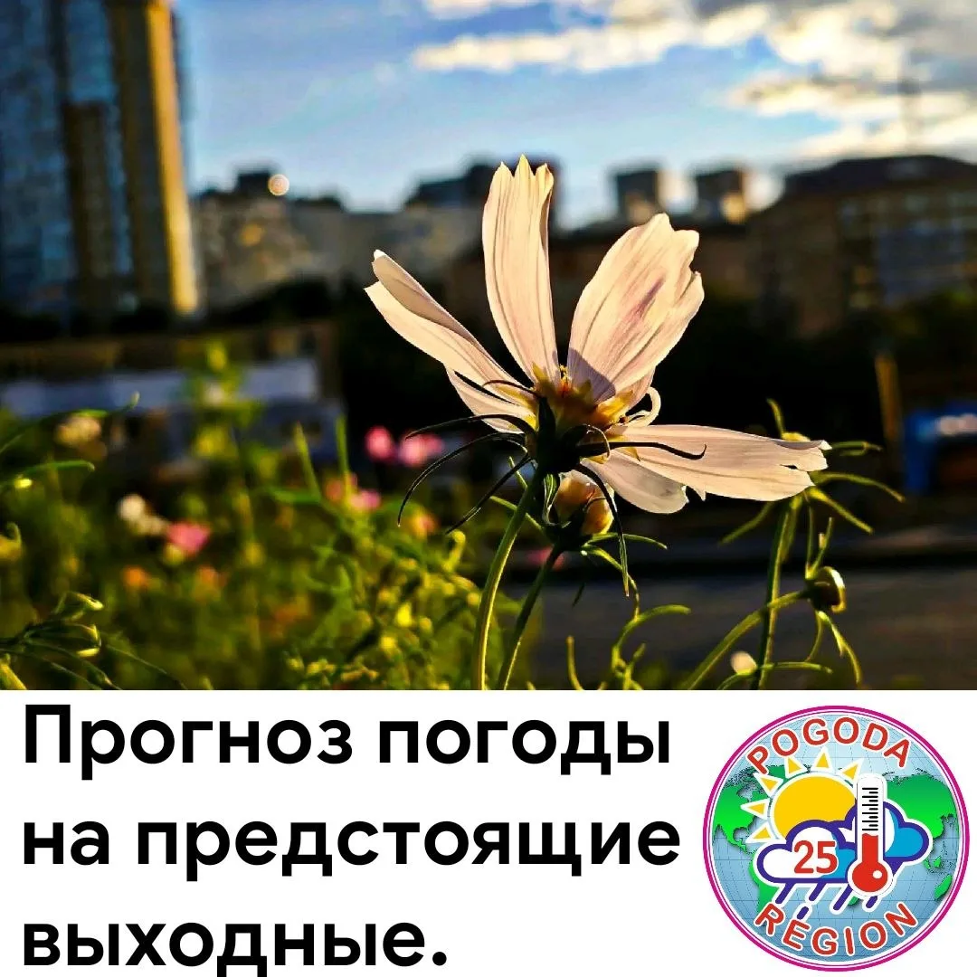 В предстоящие выходные дни в крае будет господствовать антициклон, ожидается малооблачн...