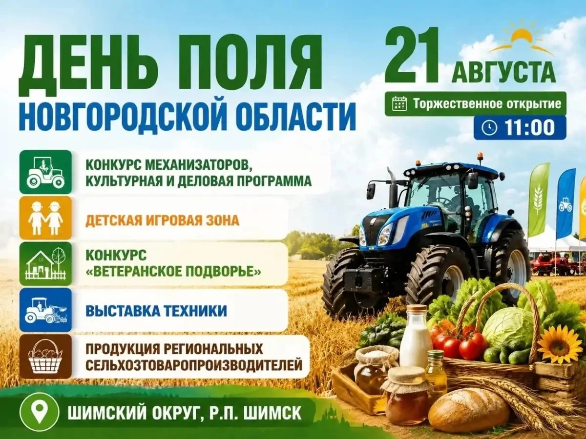 На Дне поля в Шимске пройдёт выставка лучших сортов картофеля и овощей