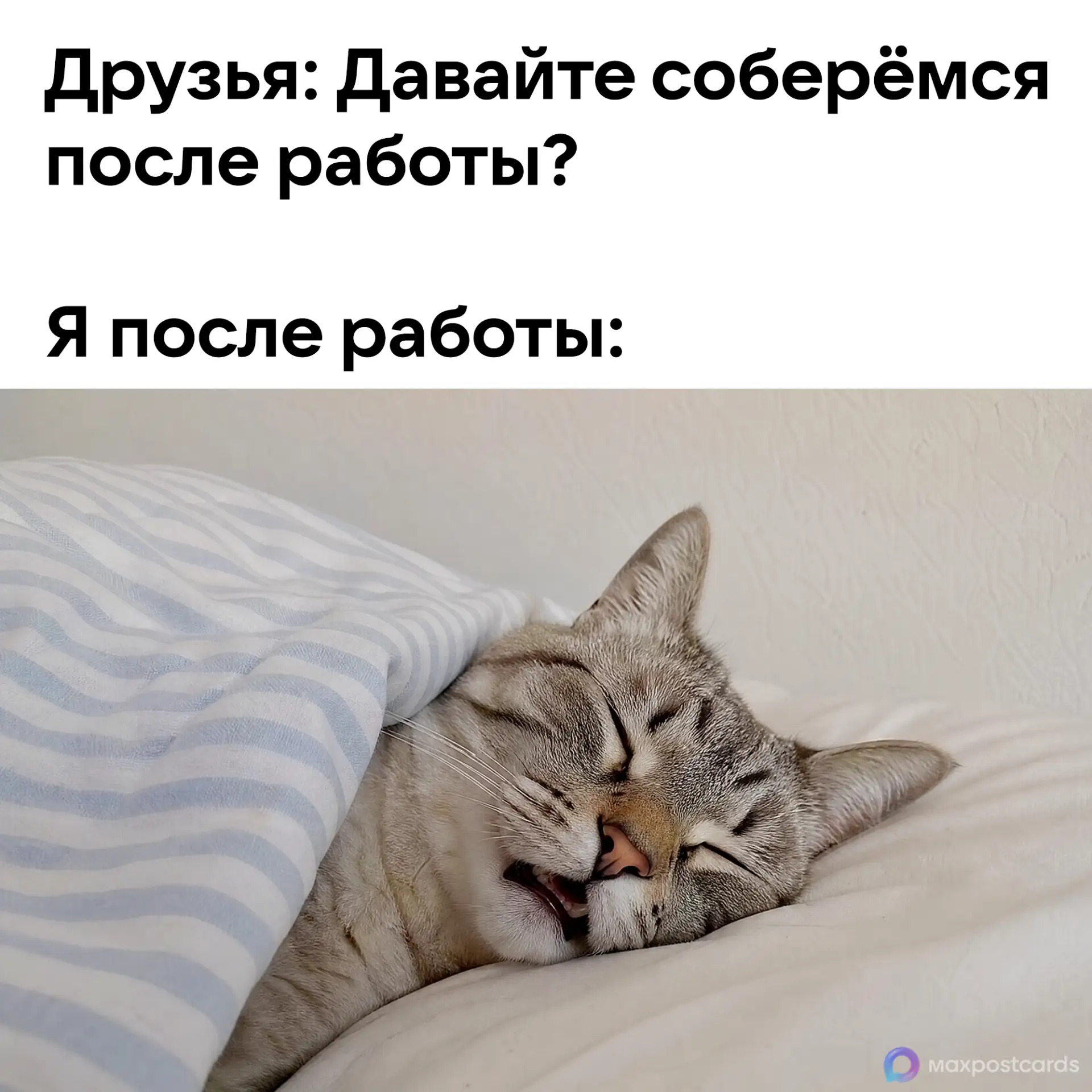 Изображение 1 к публикации «MAX • Открытки»