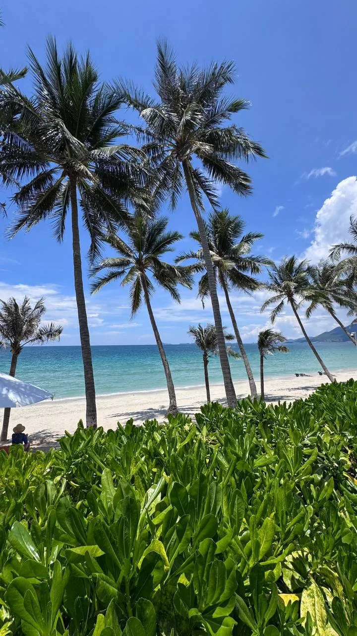 Отель на одном из лучших пляжей Вьетнама - Доклет 🐚

Ttc Van Phong Bay Resort 5

✔️Отель свеженький