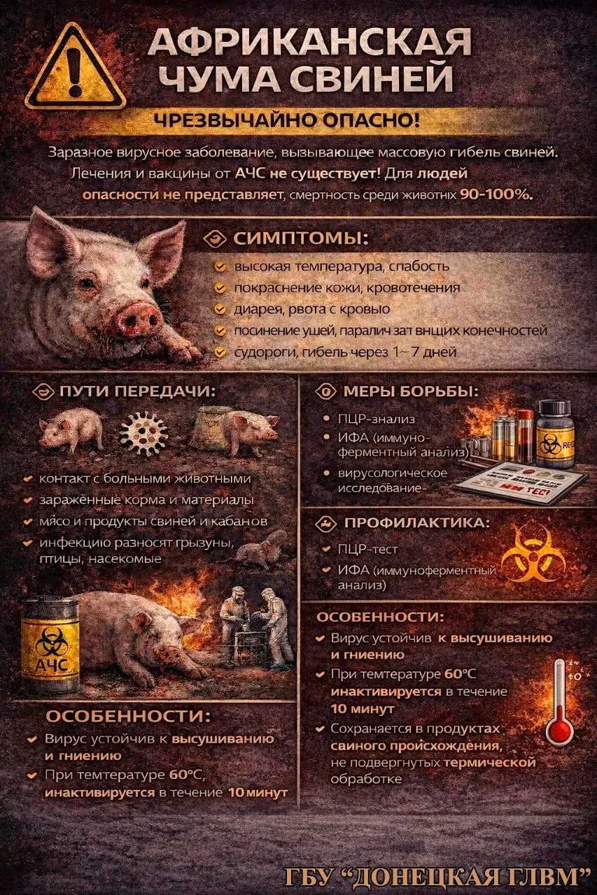 АФРИКАНСКАЯ ЧУМА СВИНЕЙ