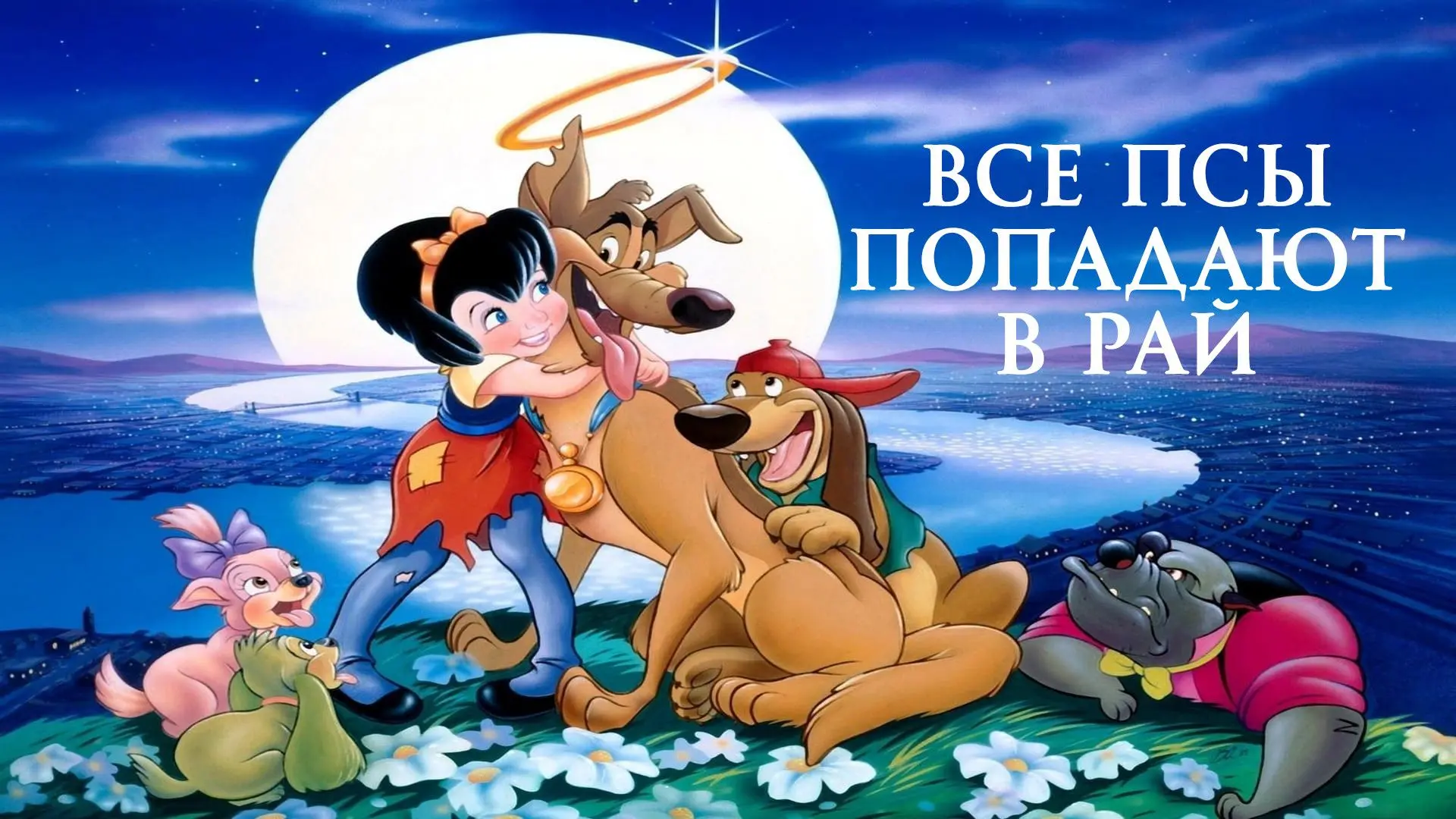 🎬 КИНО-ВЫХОДНЫЕ В АМФИТЕАТРЕ!