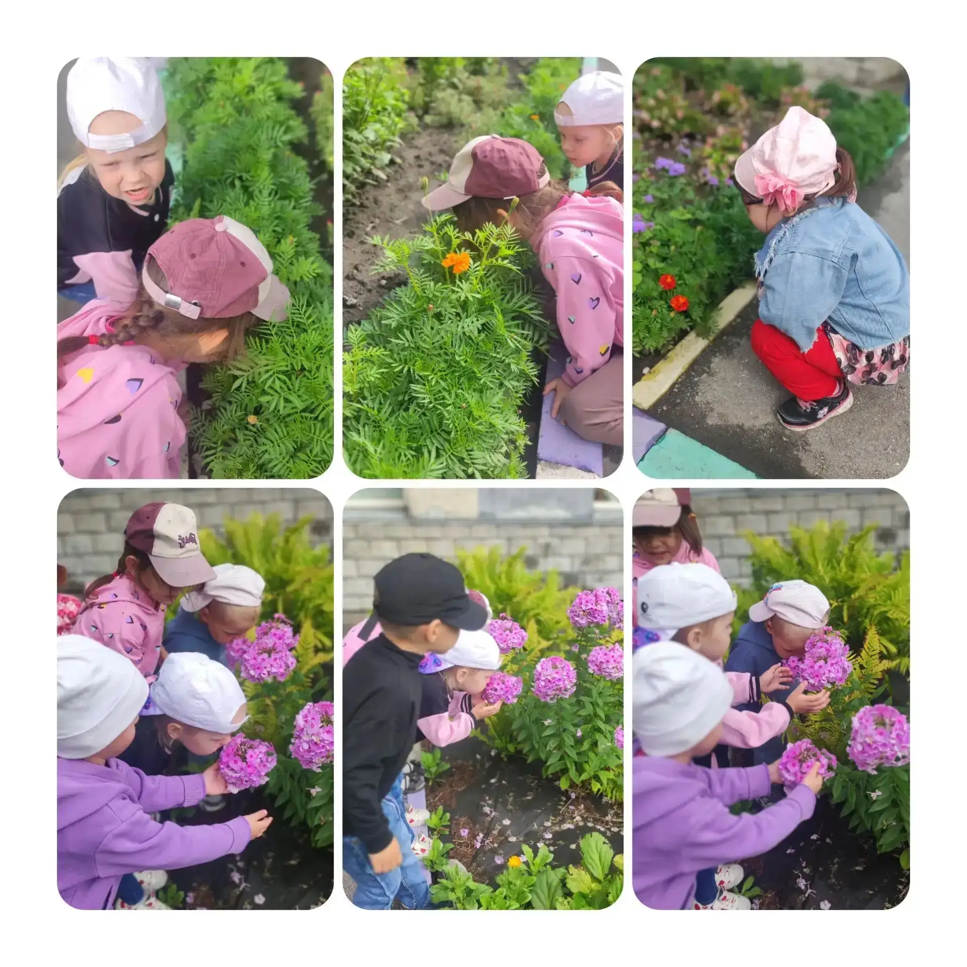 В нашем детском саду неделя 🌸«Цветочный бум»🌸
Сегодня ребята погрузились в волшебный мир цветов: в