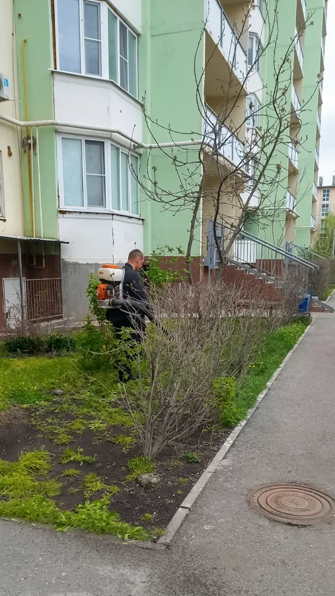 К новости «🛡️ Территория без сорняков!»