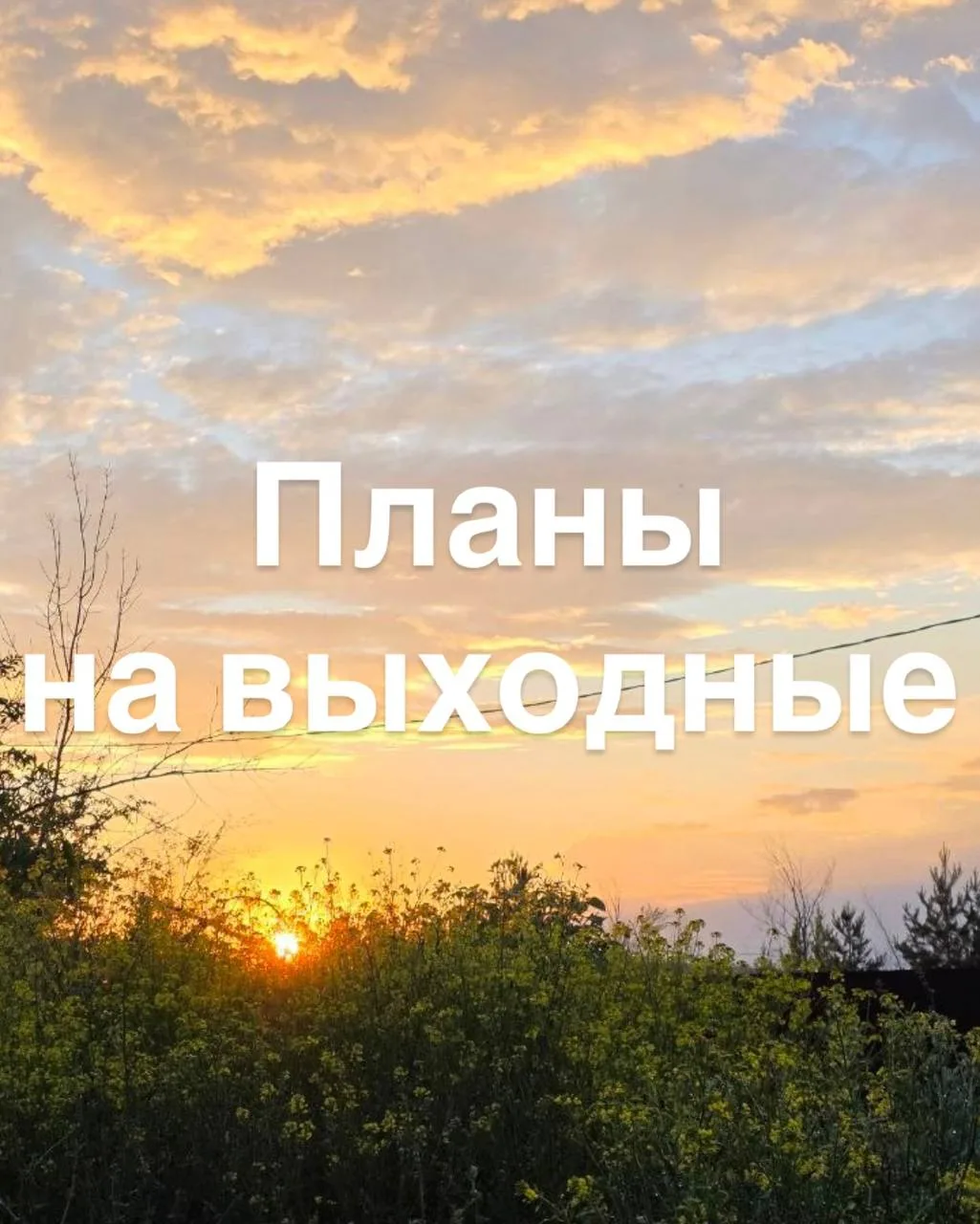 Према, фестиваль красок, пилатес на улице и китайская живопись: планы на выходные 

Пятница
🎶 Уехат