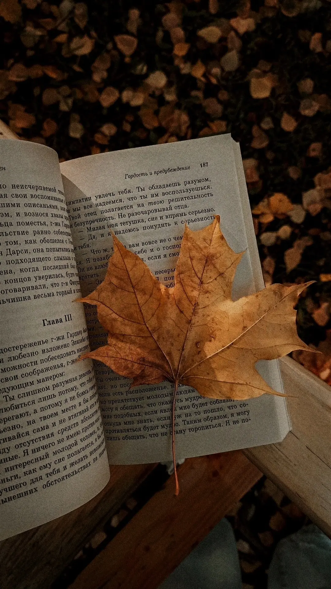 🍂 Представьте себе самый уютный осенний вечер: парк в золотистых оттенках или тихий уг...