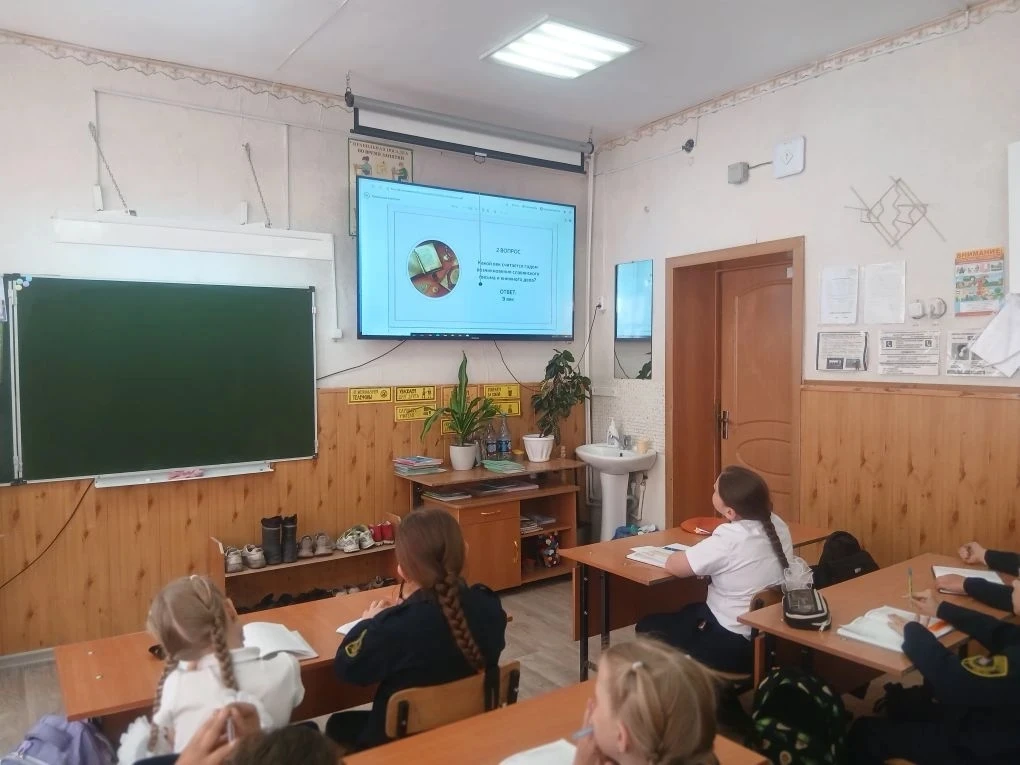 В преддверии дня  Славянской письменности и культуры советник  директора по воспитанию  совместно с 