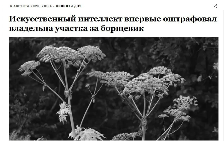 Первый штраф за борщевик с участием ИИ получил россиянин.