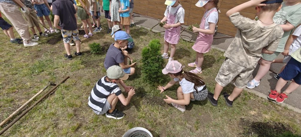 🌳Аллея выпускников – 2026: зеленый след детства.