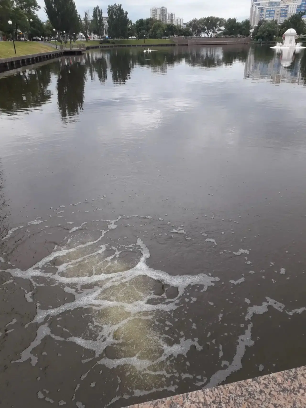 🦢 Поддерживаем экологическое равновесие в акватории Лебединого озера.
