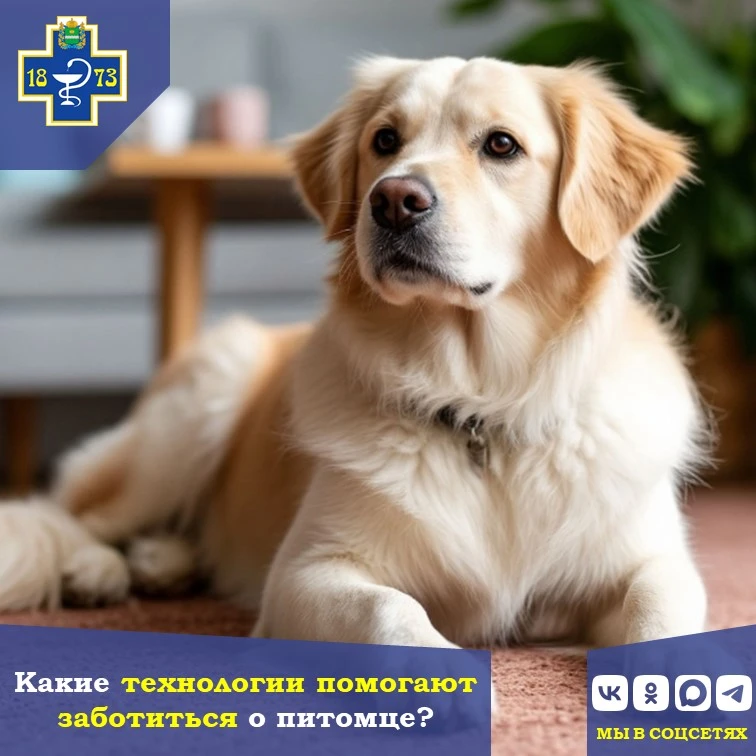 📱 Какие технологии помогают заботиться о питомце?