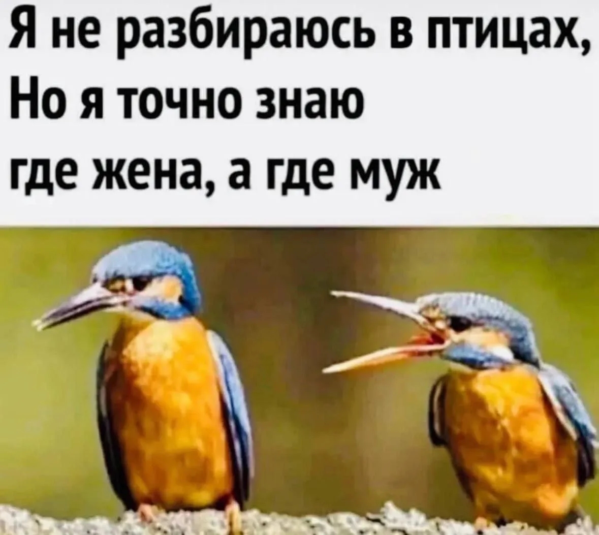 Смех без границ