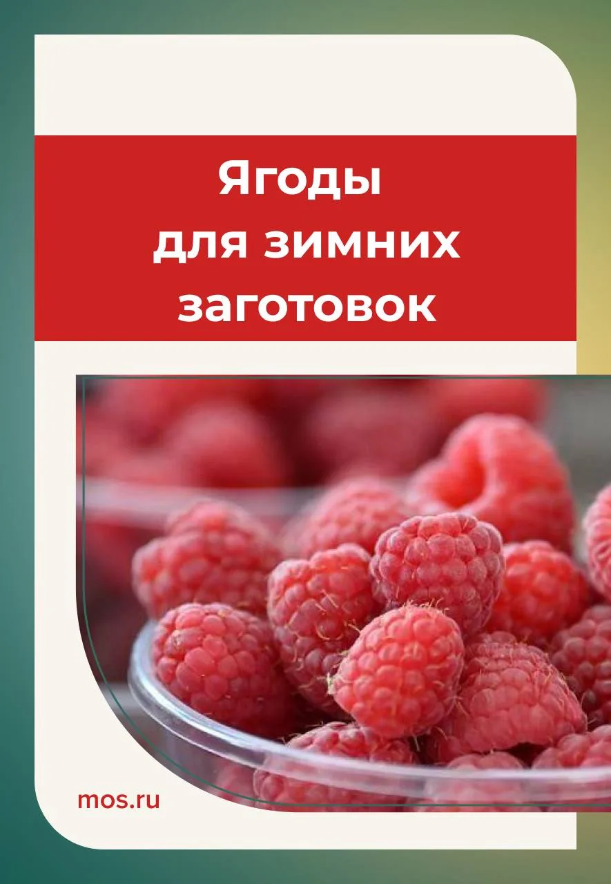 ❤️ Сезон свежих ягод на московских ярмарках в самом разгаре. Фермеры привозят вишню, см...