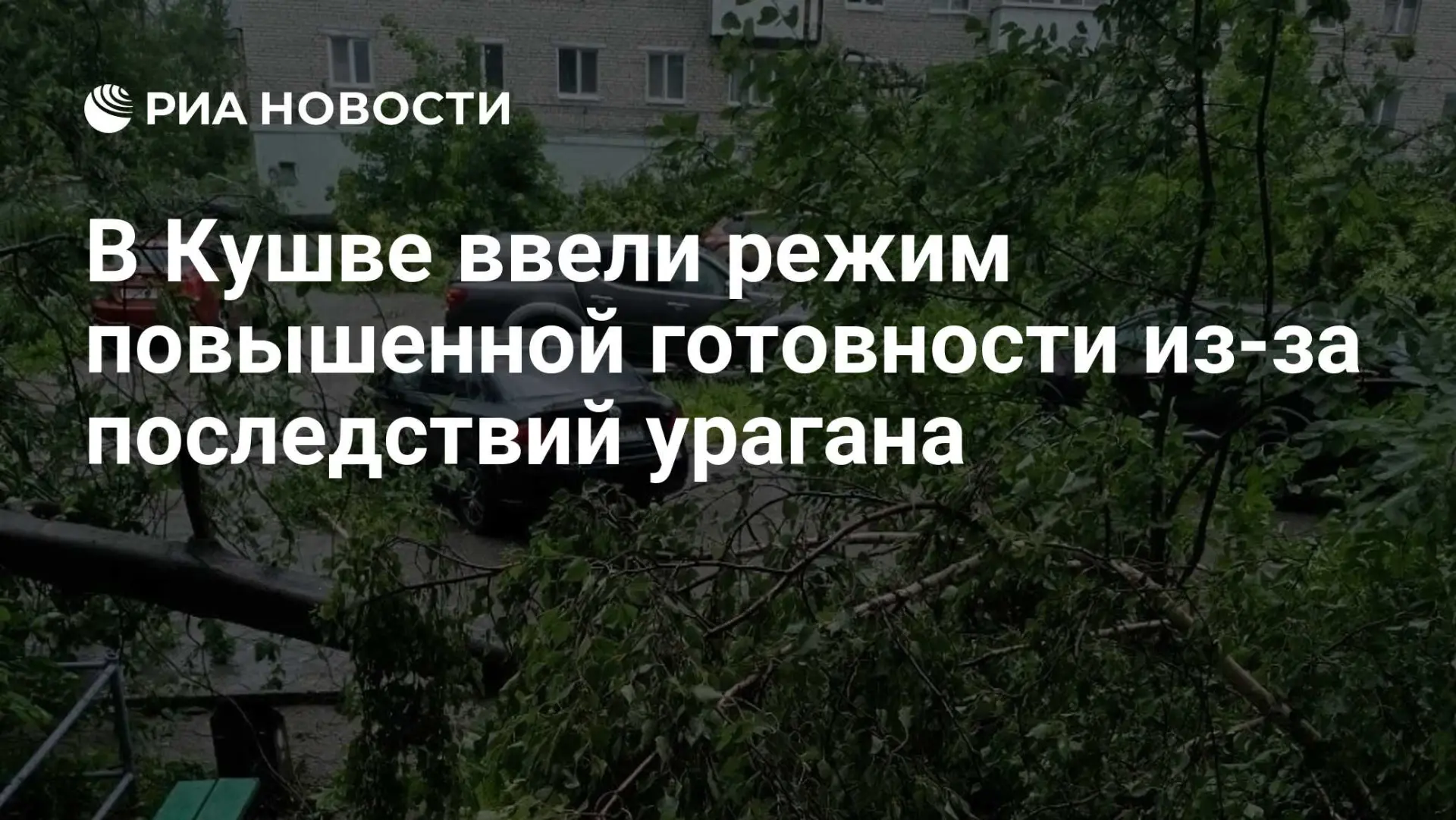 🆘 В Кушве объявлен режим повышенной готовности из‑за последствий ураганного ветра

В пятницу, 22 ию