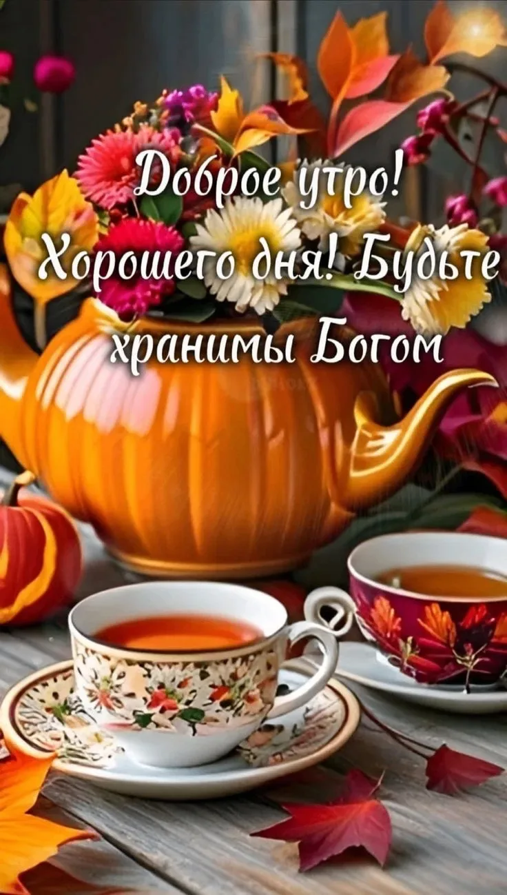 Открытки - отправь открытку❤️