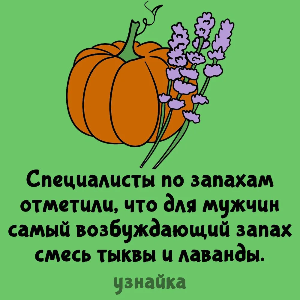 Надо проверить🤫
Узнайка