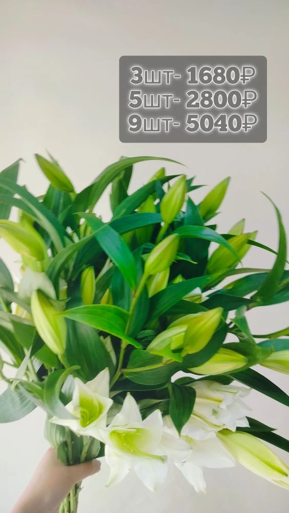 В наличии ✅
89876736679
8(8352) 488808
пр. Тракторостроителей, д. 63а
💥Скидка на предзаказ 10%
🚘До