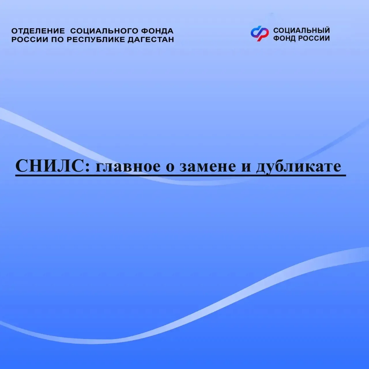 СНИЛС в Дагестане: главное о замене и дубликате
