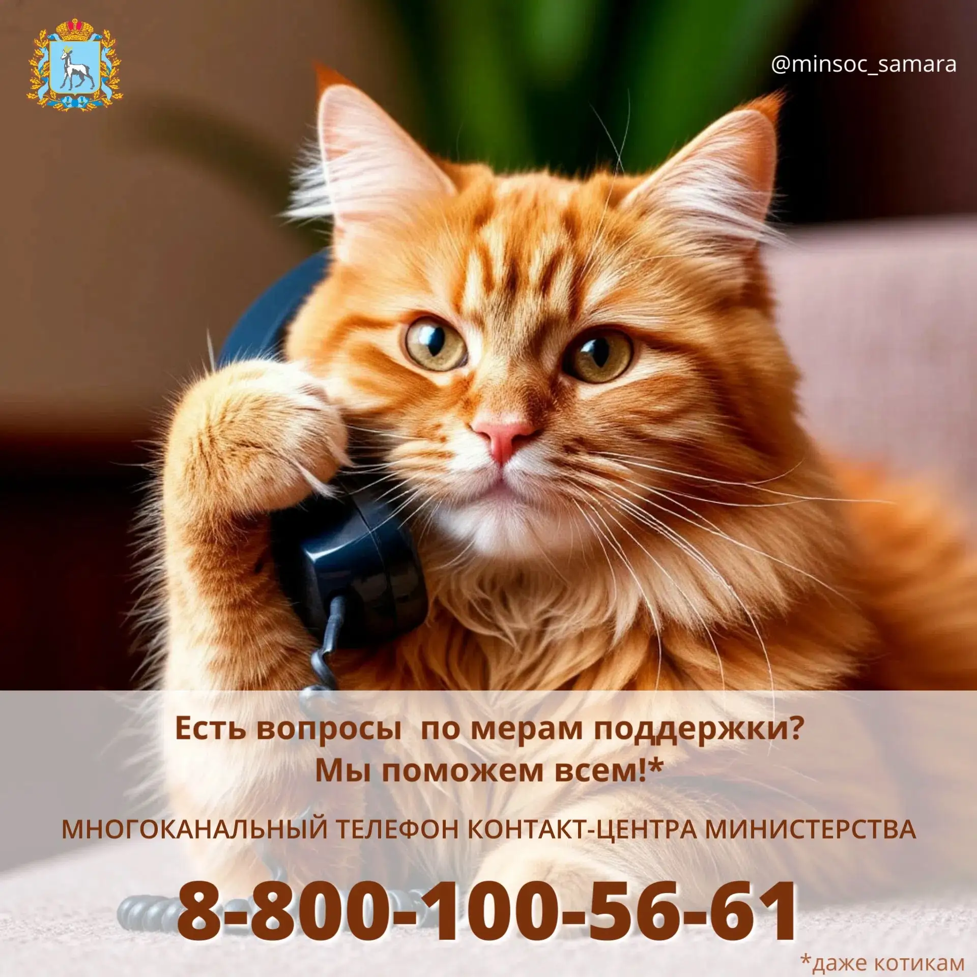 ☀️Друзья, всем хорошего настроения и лёгкой рабочей недели! 

❓Если у вас есть вопросы по социальной