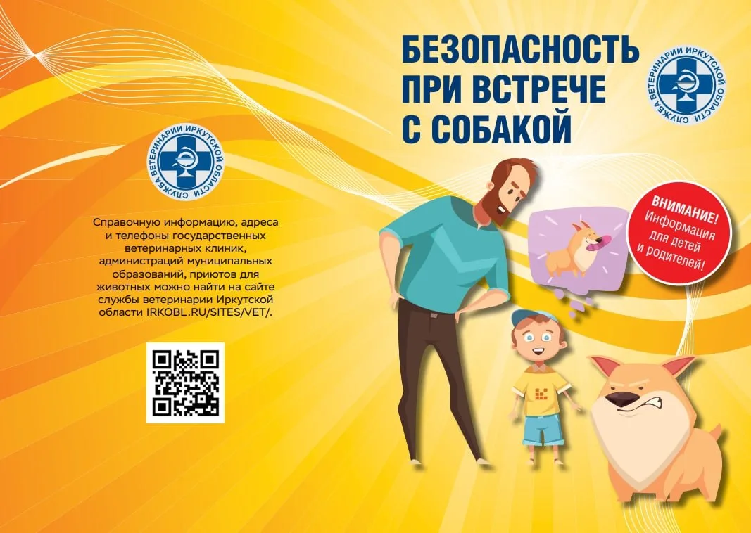 📣📣📣Внимание! Внимание!  ❗️ Важное напоминание для учащихся и родителей: правила поведения при встреч