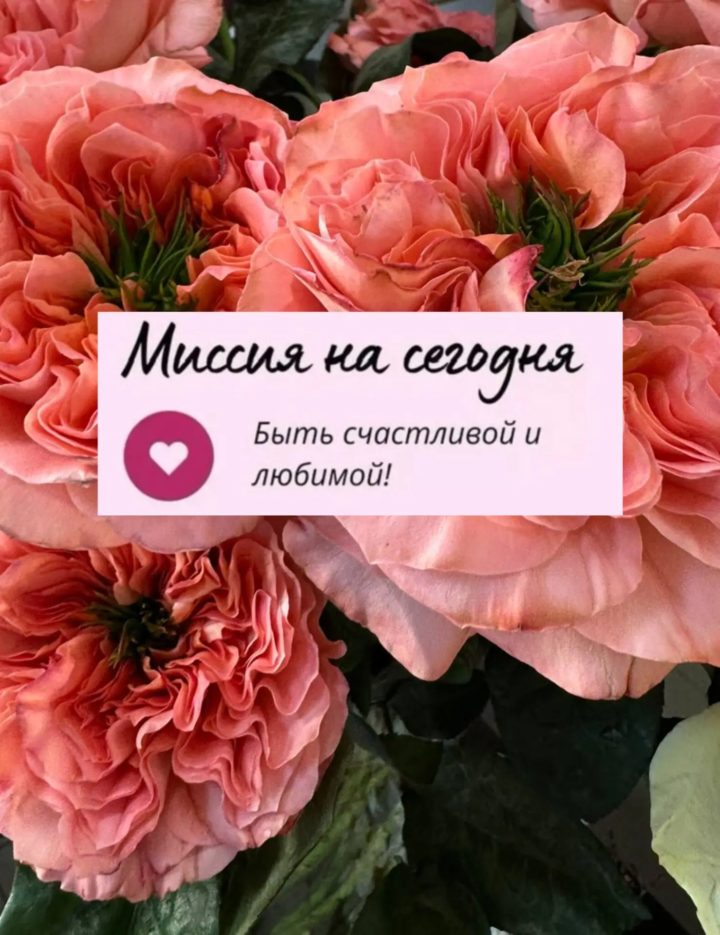 Букет без повода - лучший способ порадовать себя и тех, кто дорог! 🤍
Мы соберём и подберём букет, к