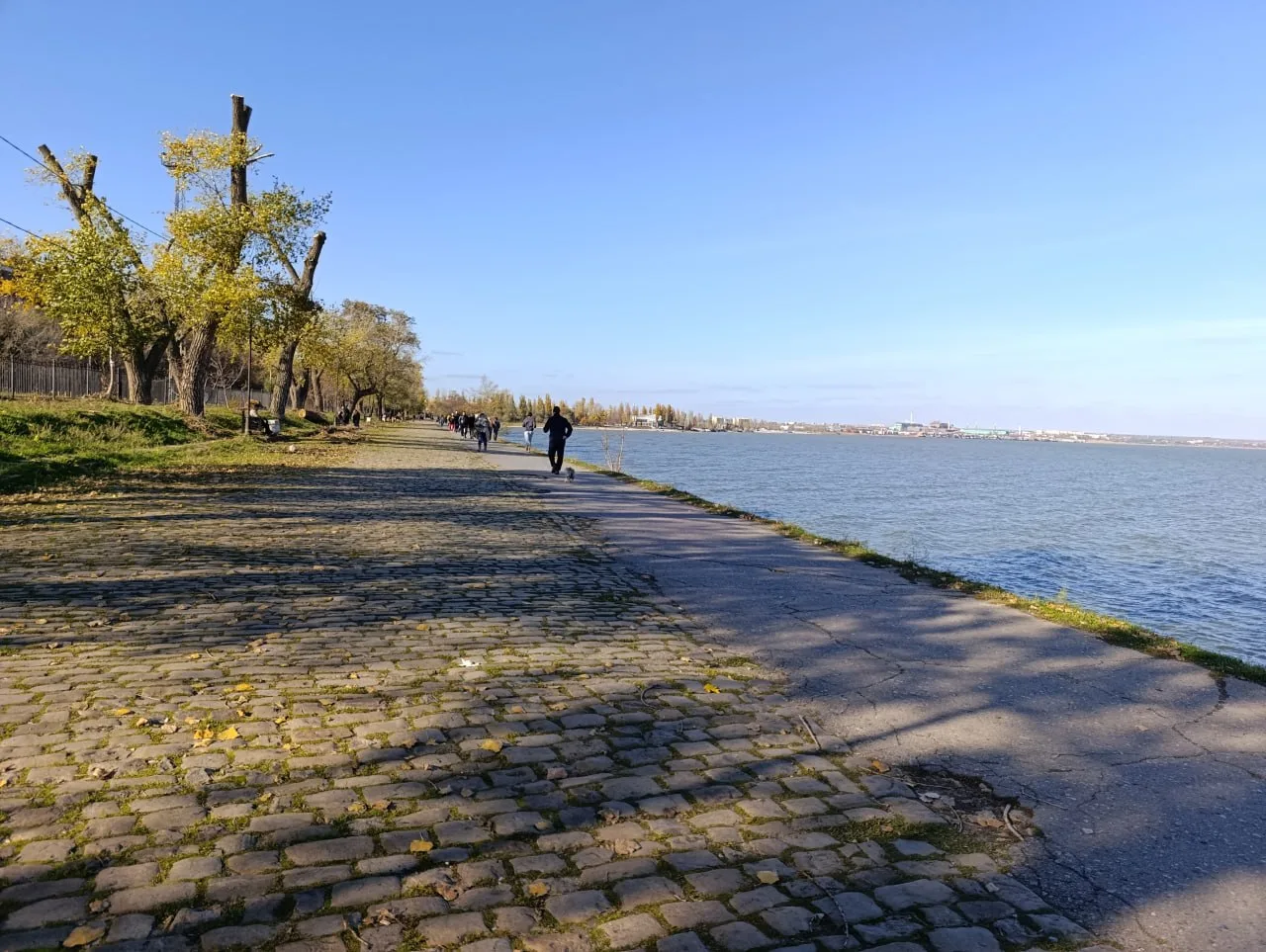 🐟 Объем запасов русского осетра в Азовском море вырос вдвое за год
