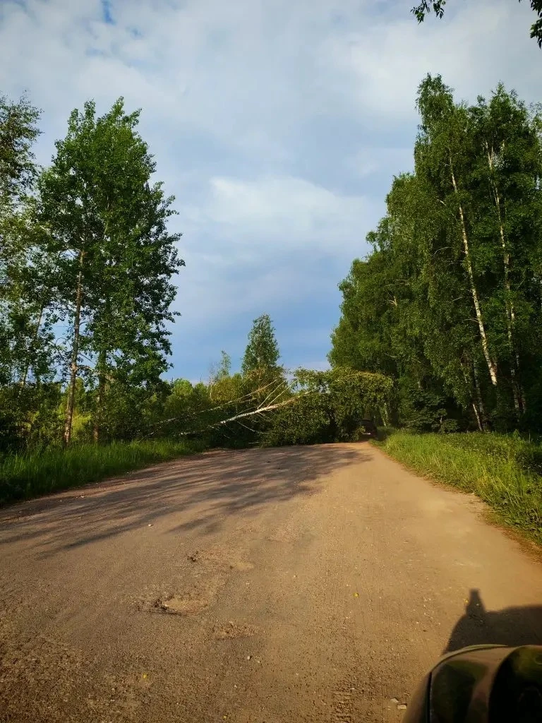 От читателя
