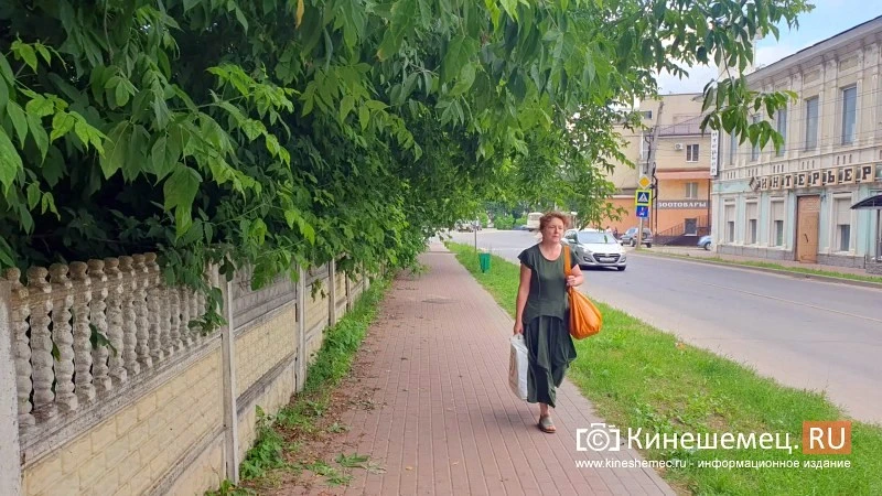 Заросли над тротуаром в центре Кинешмы скоро накроют и дорогу

В самом что ни на есть историческом ц